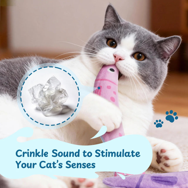 2 Pack XL Fish Cat Toys