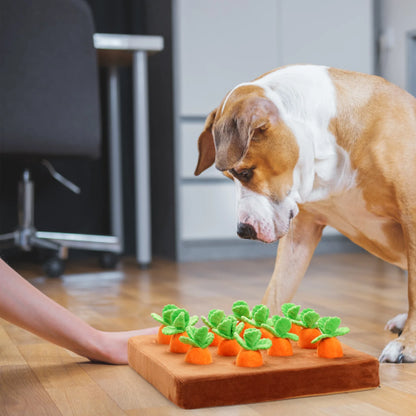 Carrot Dispensing Farm Enrichment Toy